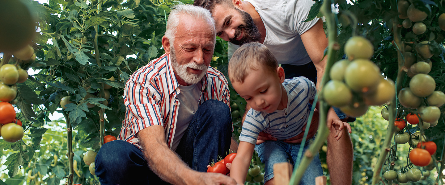 Illinois Life Insurance Coverage